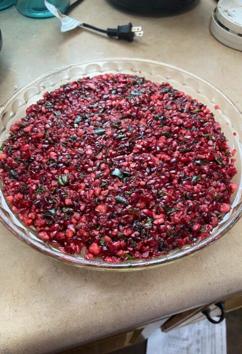 Cranberry-Jalapeño Cream Cheese Dip